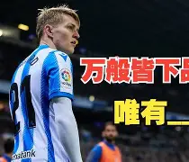 开云app-詹森八大配对鸽眼图片