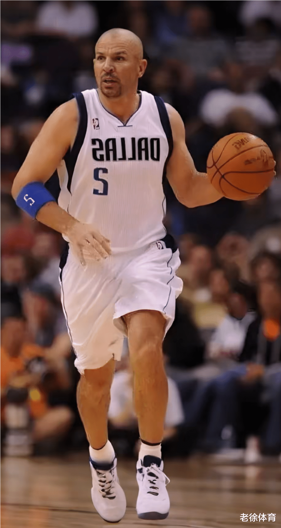 开云体育官网-忍者刺客免费观看